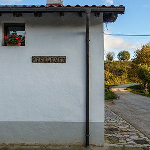 Alojamientos Mikelenea Mikeletxea casas rurales muy grandes viajes para grupos de amigos y familias numerosas 20 habitaciones turismo rural en plena naturaleza en Arruitz en el norte de Navarra